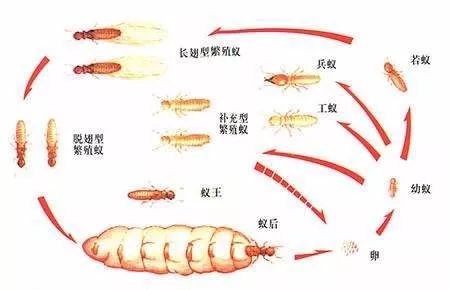 千防万防家贼难防高大上说法,地下室装修防潮湿的最好方法