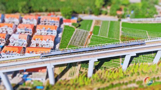 青岛被德国占领时期,青岛被德国占多久