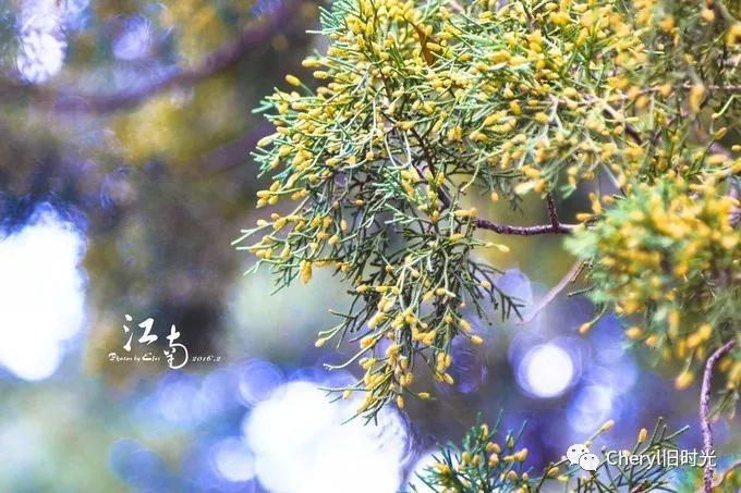 苏州旅游值得去的景点,去苏州旅游攻略最好的景点