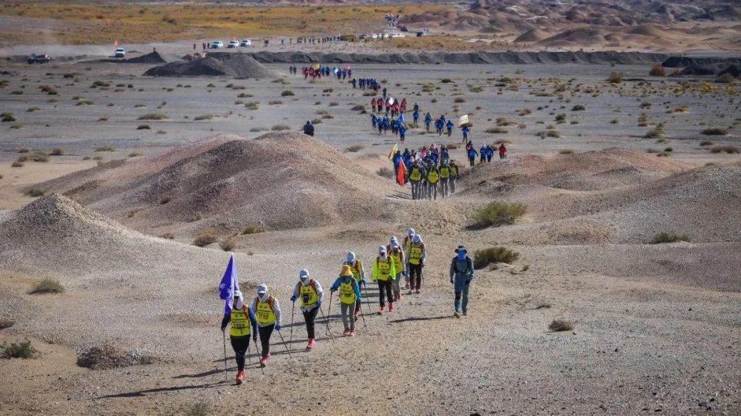 地产四大金刚,地产四巨头是真的还是假的