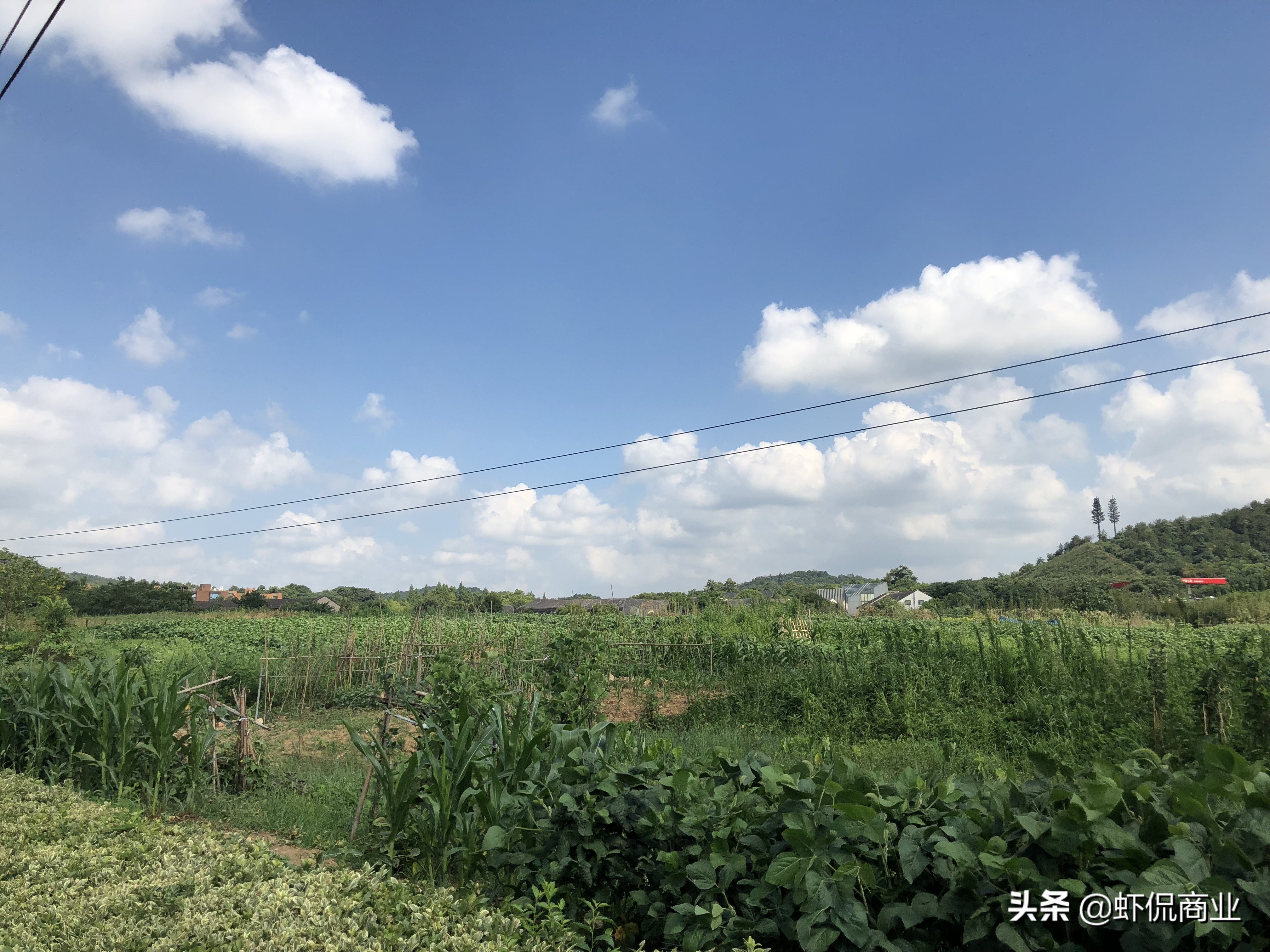 良渚文化村博物馆探访方法有哪些,探秘良渚古城遗址公园