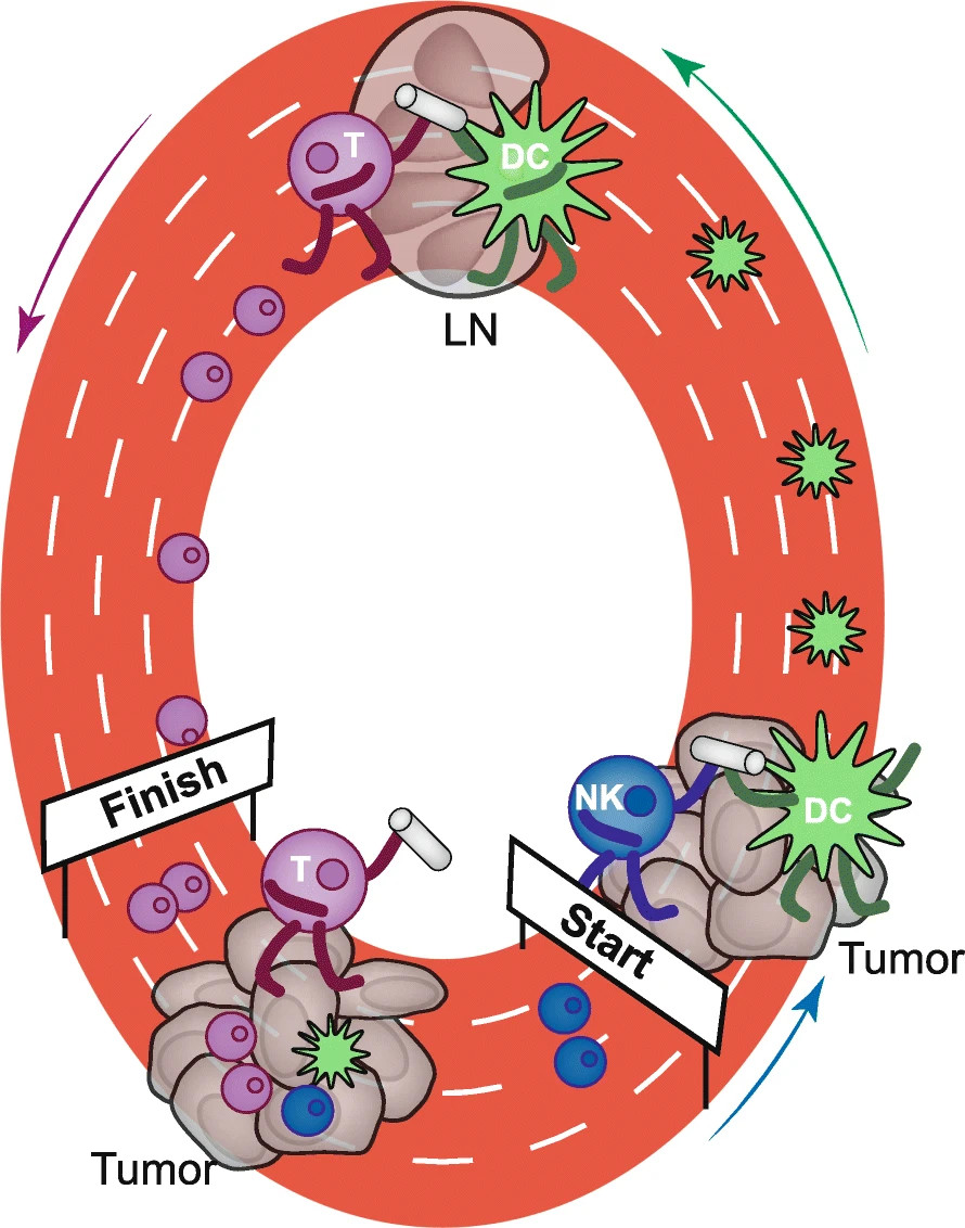 乳腺癌CSCO2022治疗指南,女神节肿瘤科普