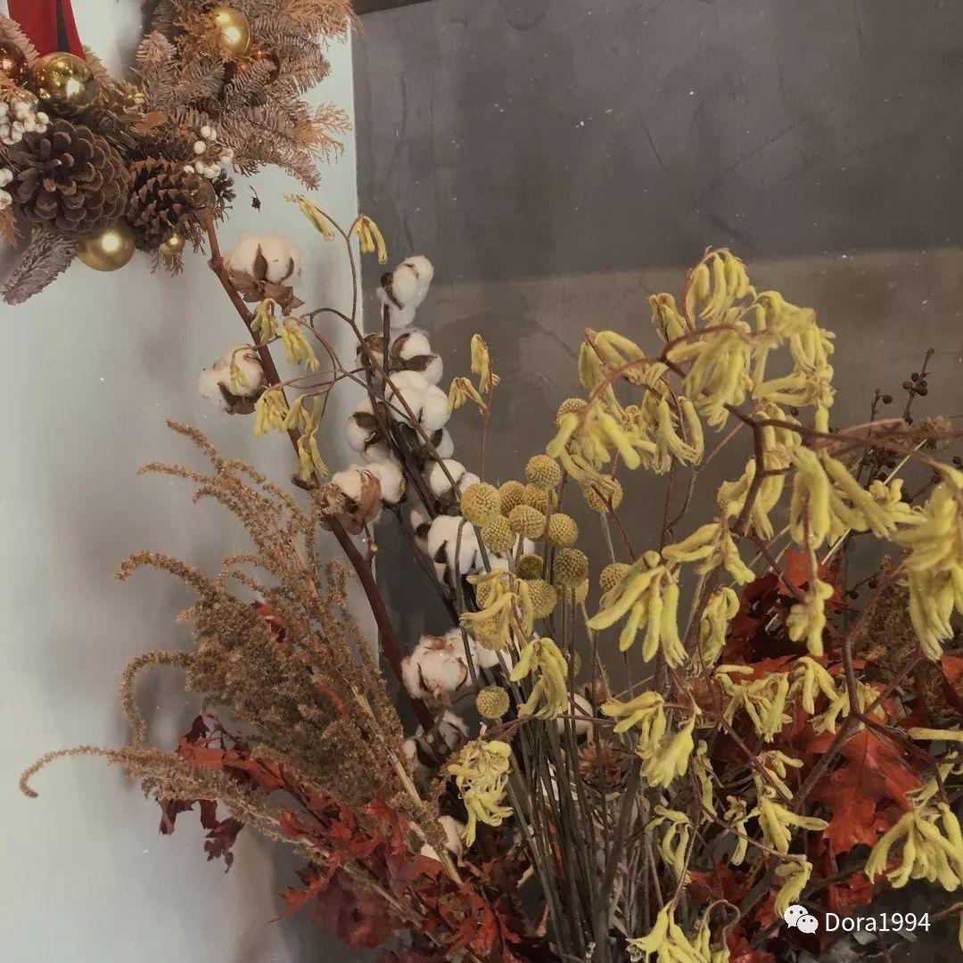 深圳适合放松的咖啡厅,深圳适合一个人打卡拍照的咖啡厅