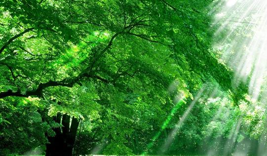 古诗读不懂怎么办,一招教你破解古诗的秘密