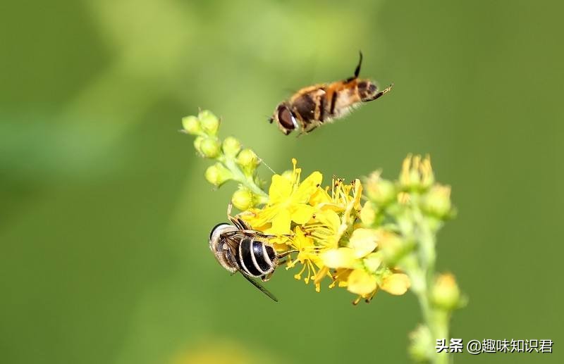 世界上最无聊的冷知识,世界十大奇葩冷知识大全