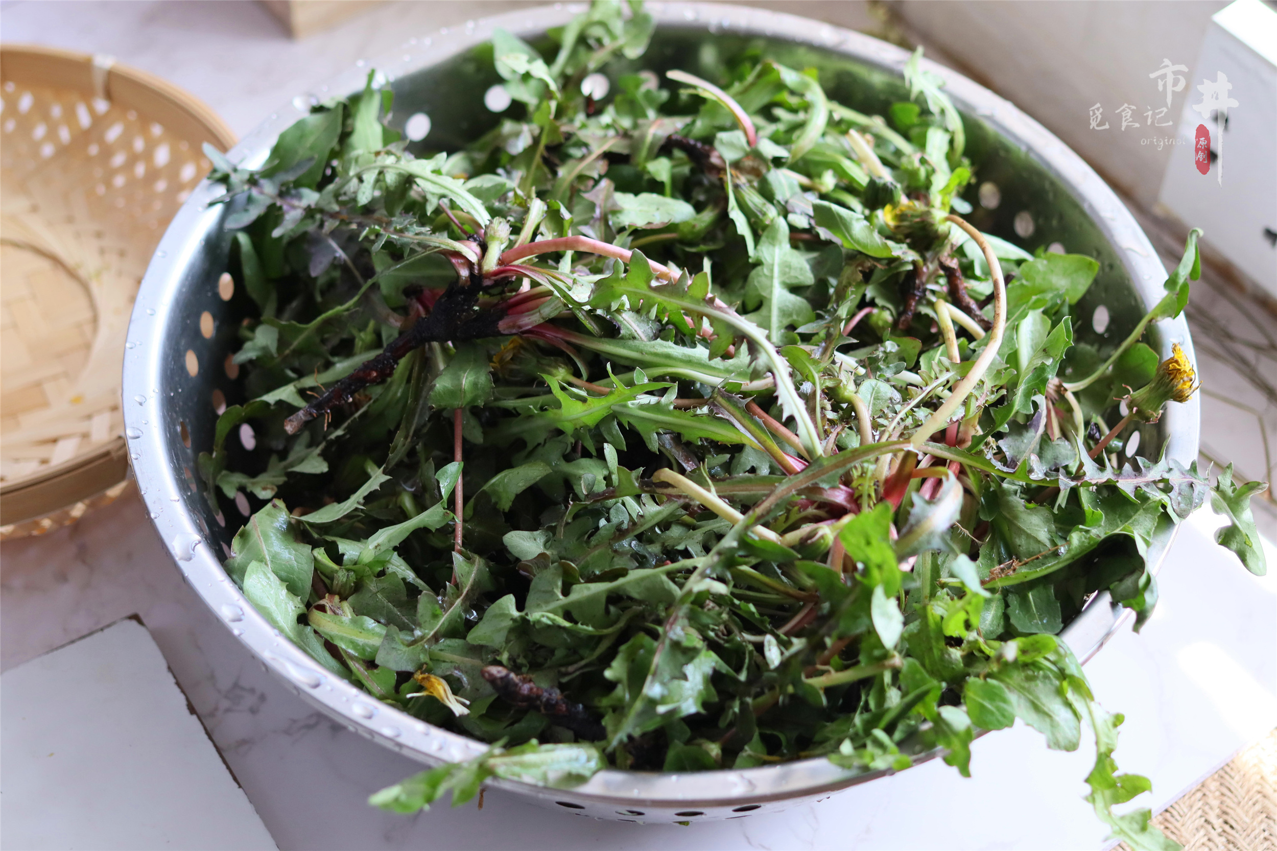 蒲公英茶的正确炒制方法,蒲公英杀青直接晒干的效果一样吗