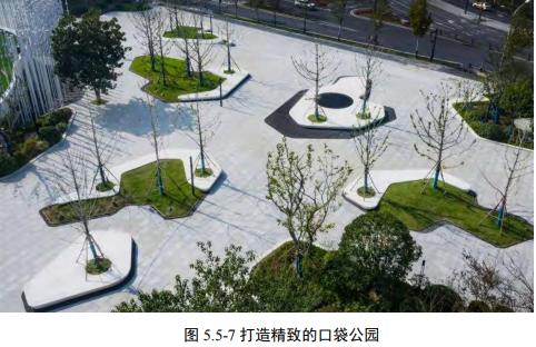 金砂东、大学路、潮汕路，汕头市区多条道路如何提升品质？