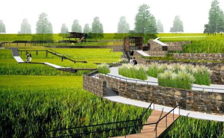 造纸厂变身绿地公园！富阳出现了一个超大草坪，相当于4.5个足球场！