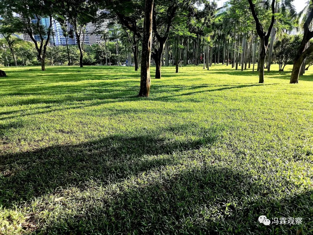 从清茶中飘出来的悠美短文！（文化观察之一O三）