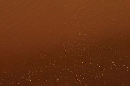 养殖水产酱油水怎么调,养殖水体的水质粘稠怎么办