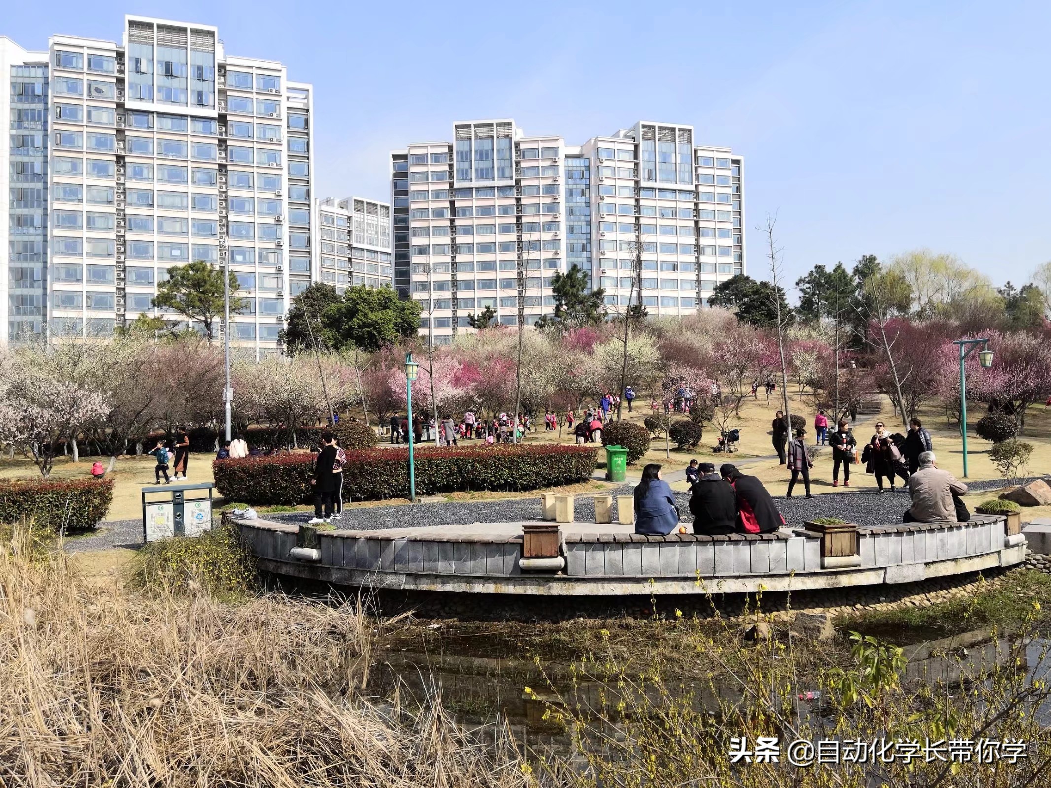 自动化具体是什么专业学的,自动化专业与工业自动化区别