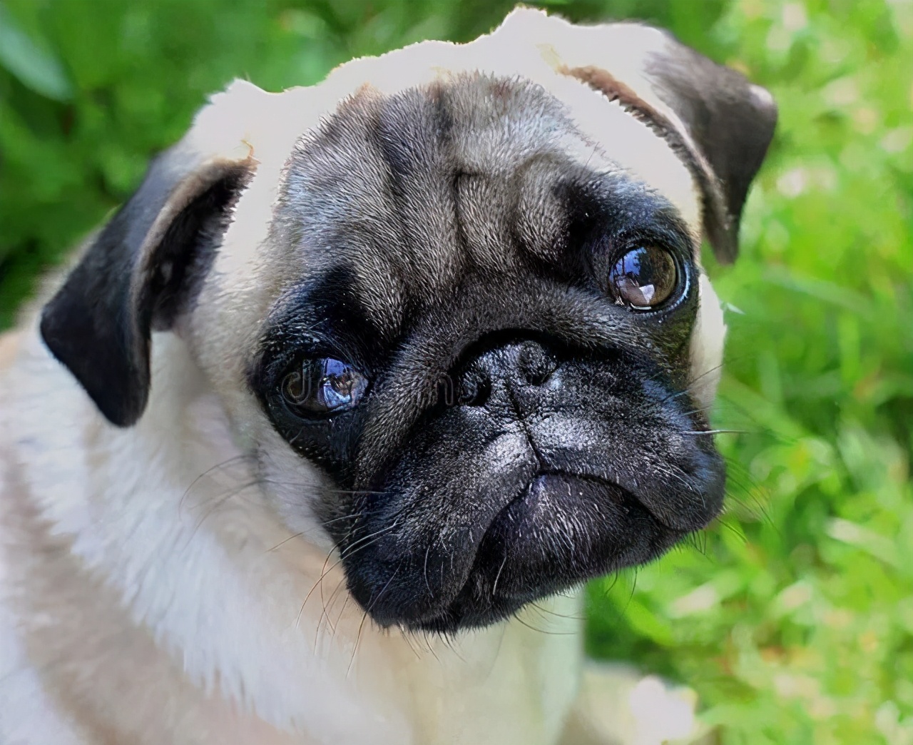 当情绪彻底崩溃的时候,当情绪快要崩溃
