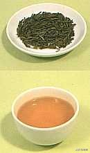 中国十大名茶的产地是哪里,中国十大名茶安吉白茶