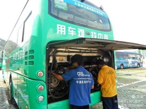 白杨树全文朗读合拍,白杨树文章阅读