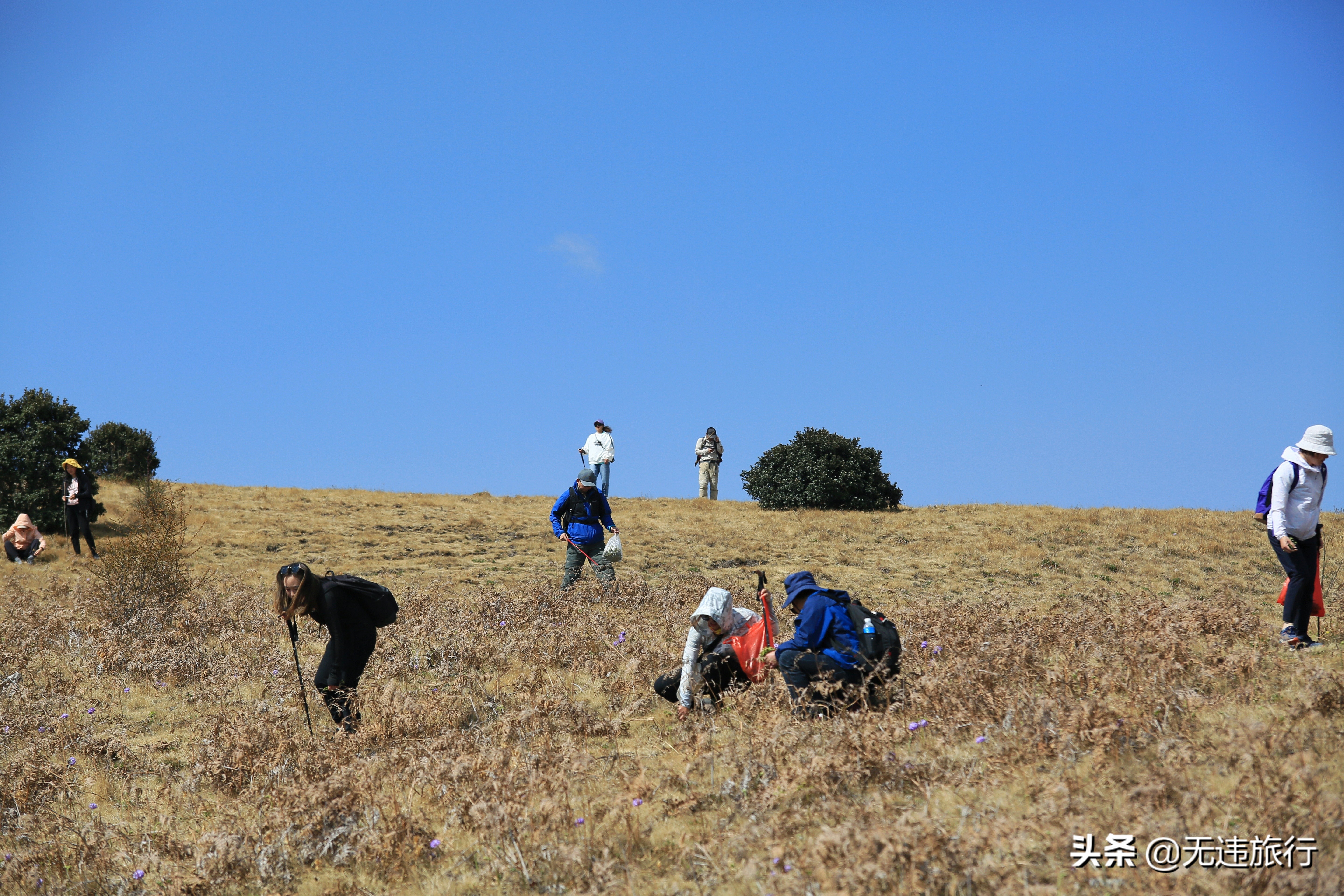去大理鸡足山徒步旅行,大理鸡足山徒步登顶