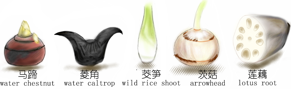 探索荸荠︱以及西关“泮塘五秀”是什么、何为江南“水八仙”？