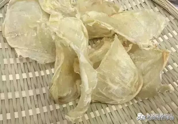 涨知识!鱼胶种类大全,不看亏大了!