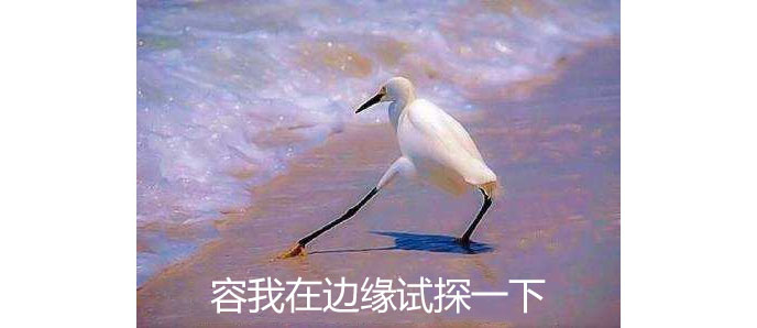 火焰纹章结局有几个神之证,火焰纹章死亡复活最新攻略