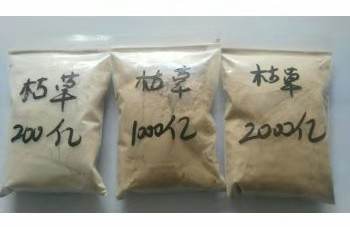 微生物源农药枯草芽孢杆菌的使用技术，“以菌治菌”防治土传病害