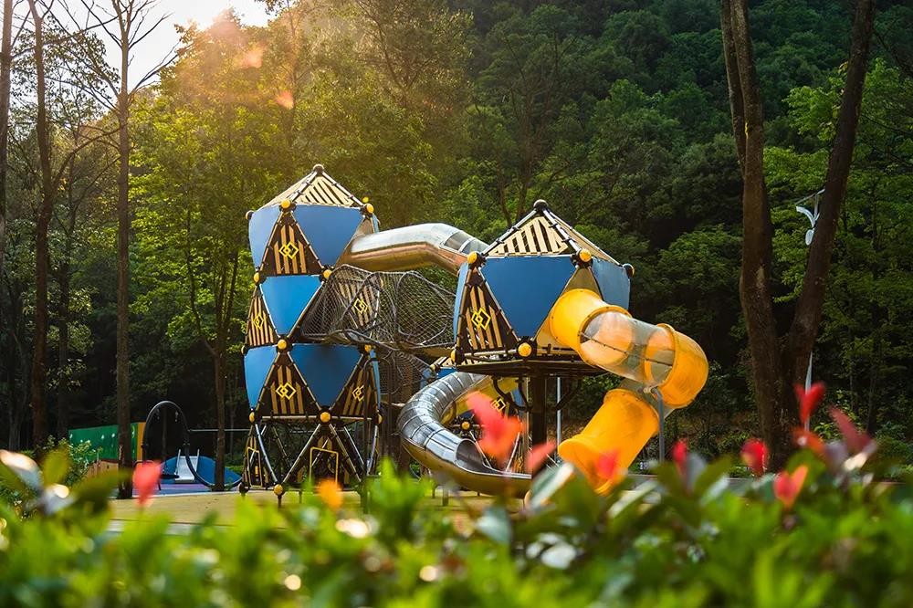 收获趣爽夏日！养生谷第二届蓝莓采摘节完美落幕，避暑嗨玩就在养生谷