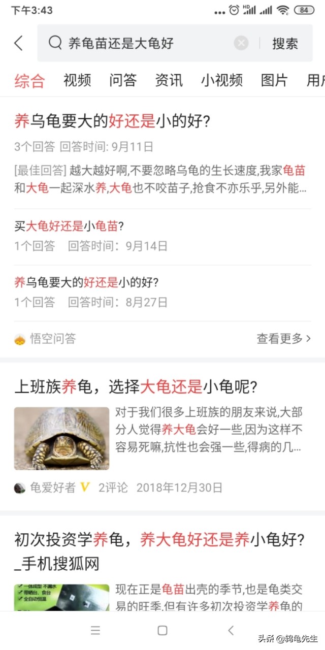 养乌龟是选小龟还是大龟好,幼龟好养还是大龟好养