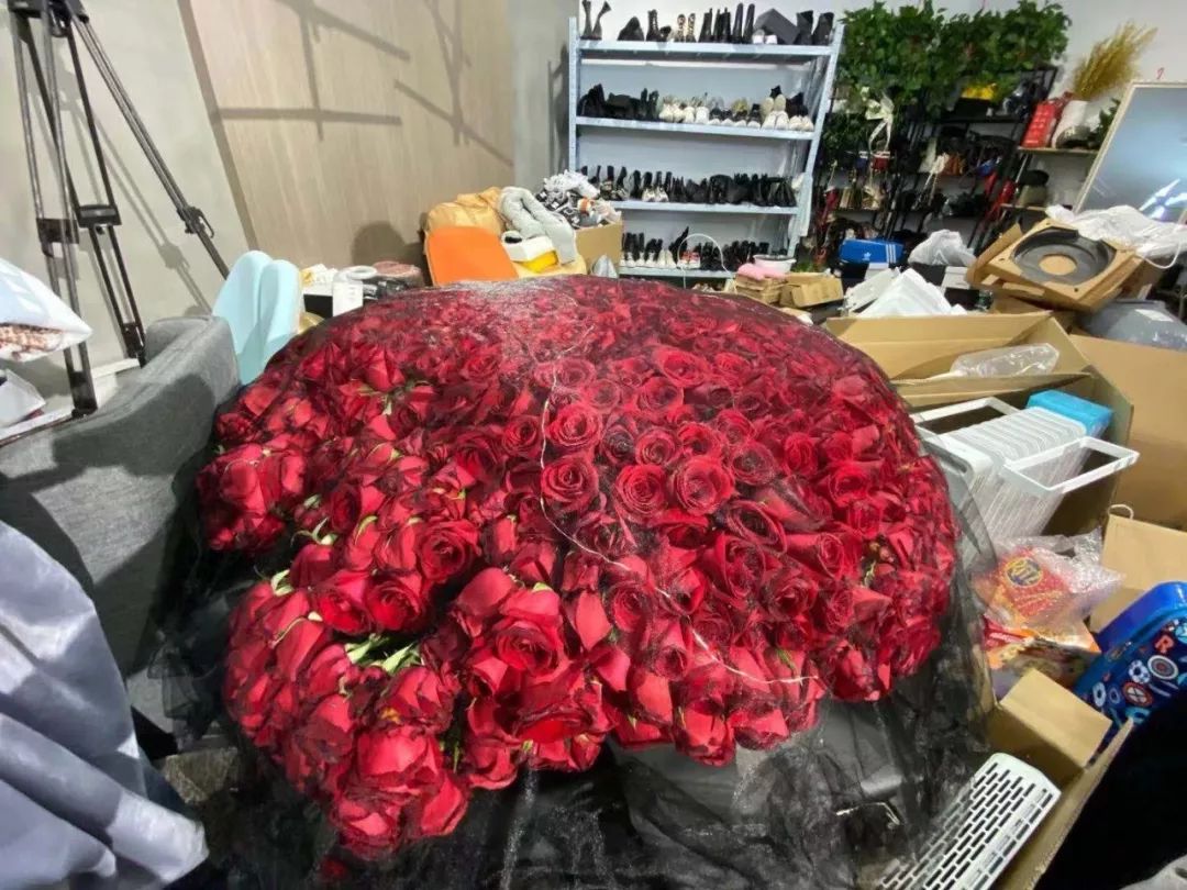 双11攻略2019薇娅,2020双十一晚会薇娅