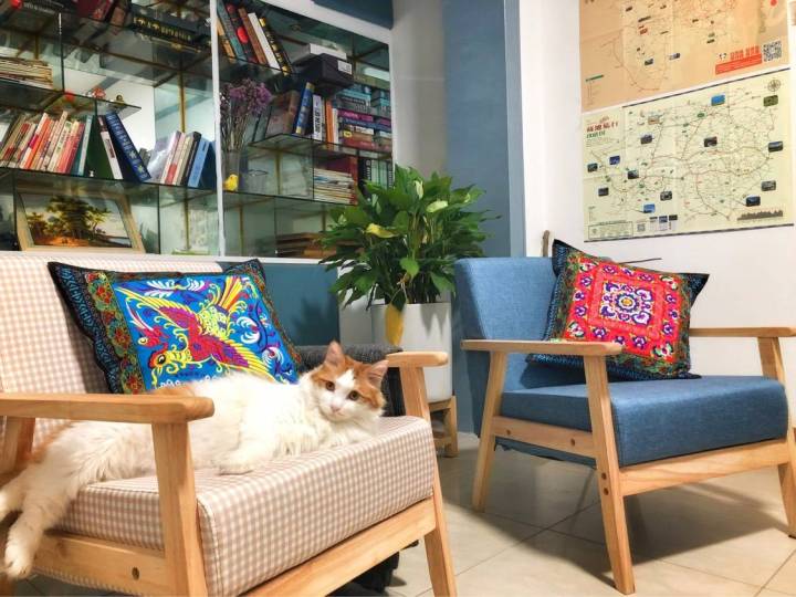 成都最吸引人的方面,成都最让你心动的地方