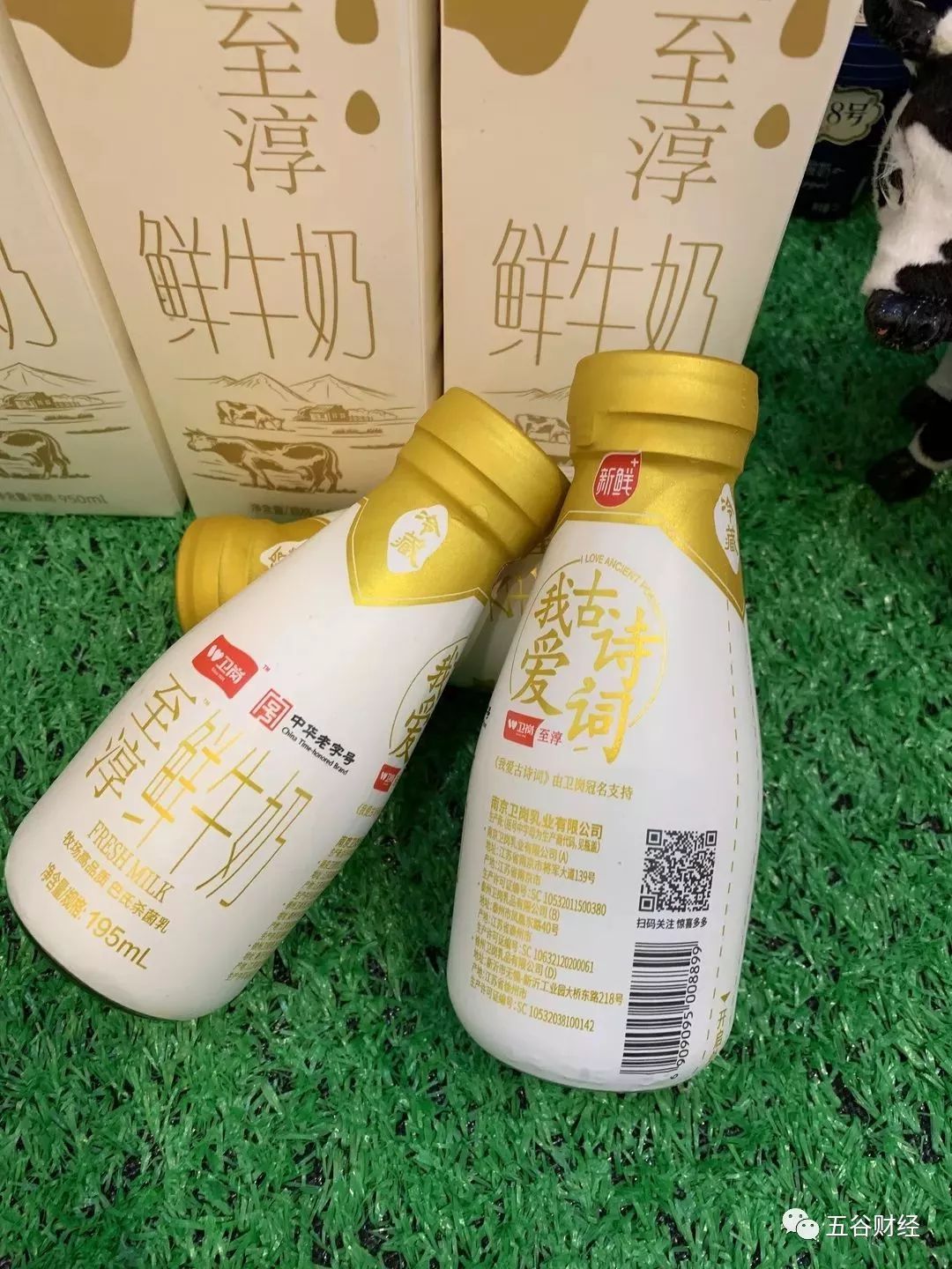 养好牛是乳业高品质的前提卫岗乳业董事长提出“四鲜”解决方案