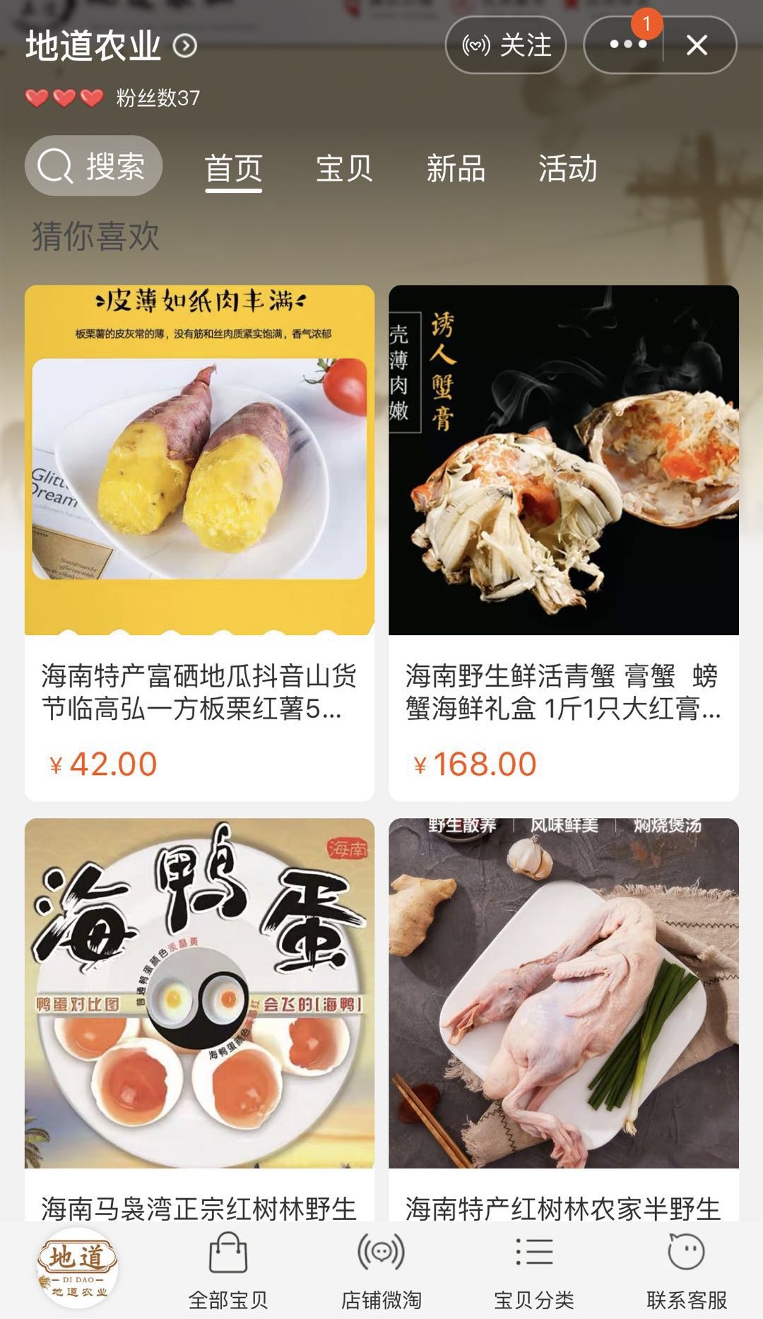 《新农》59期｜养青蟹大学生变村小二，临高95后别样“返乡路”