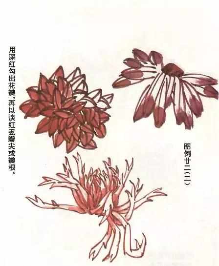 胡玉德菊花国画技法步骤,菊花叶子国画教程