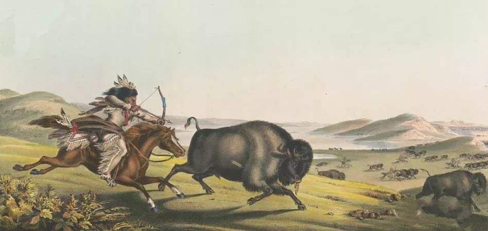 180年前的美洲野牛,美洲野牛和印第安人共同的命运