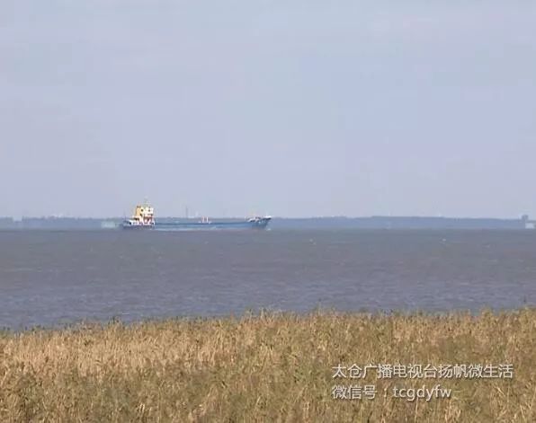 看看四十年的农村你还有印象吗,四十年前的浏河