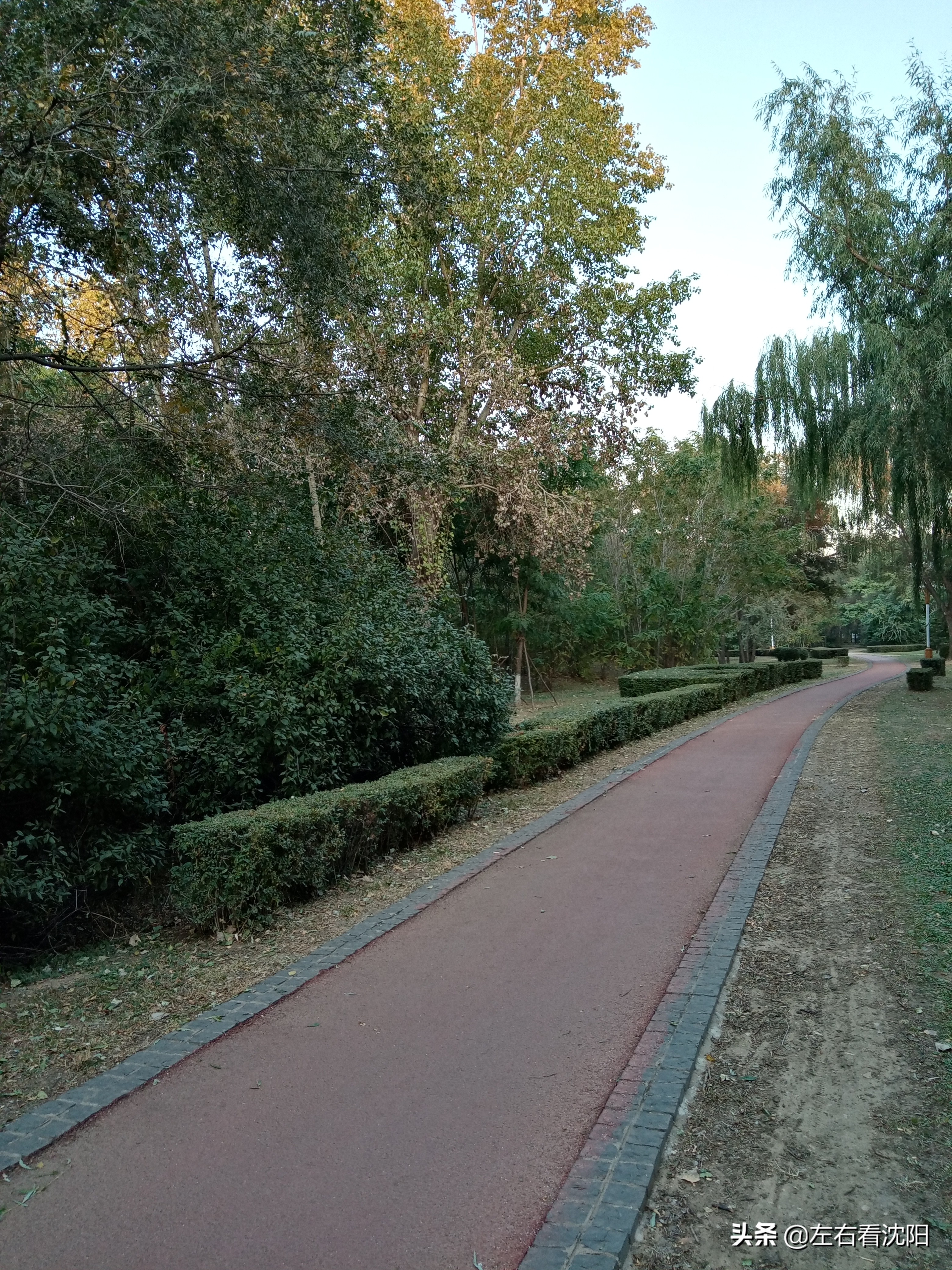 沈阳五里河公园攻略,沈阳五里河公园现在开吗