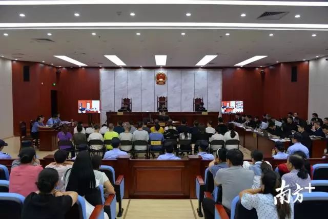 网络卖茶叶诈骗案件,卖茶女诈骗案被判