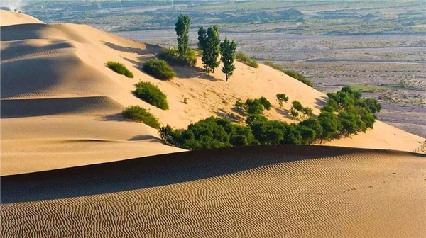 先别中超再别职业足球福建足球能否涅槃重生？