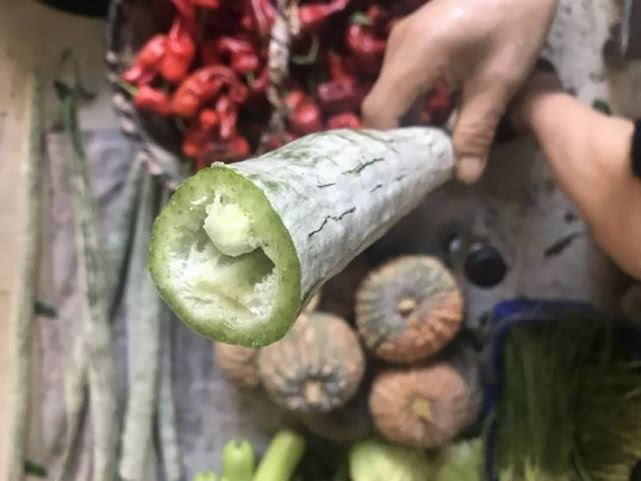 极为罕见的印度菜 (史上最罕见的印度菜)