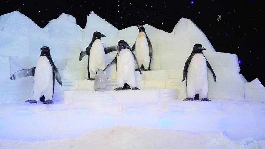 小梅沙海洋世界门票团购套票,小梅沙海洋世界3天2夜套票