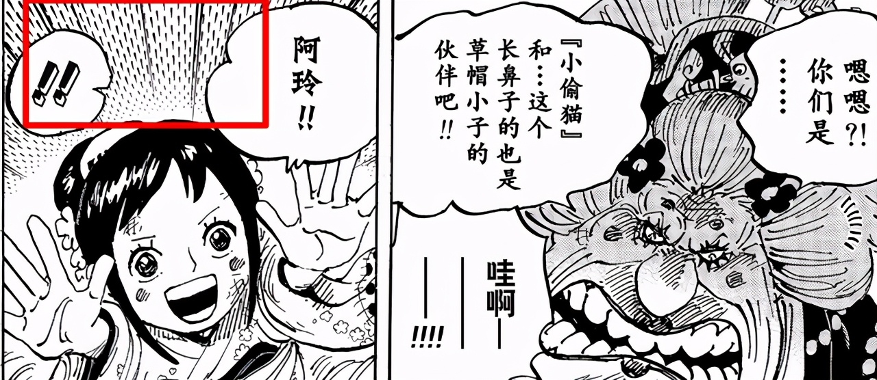 海贼王1011话漫画下,海贼王漫画最新话情报1011