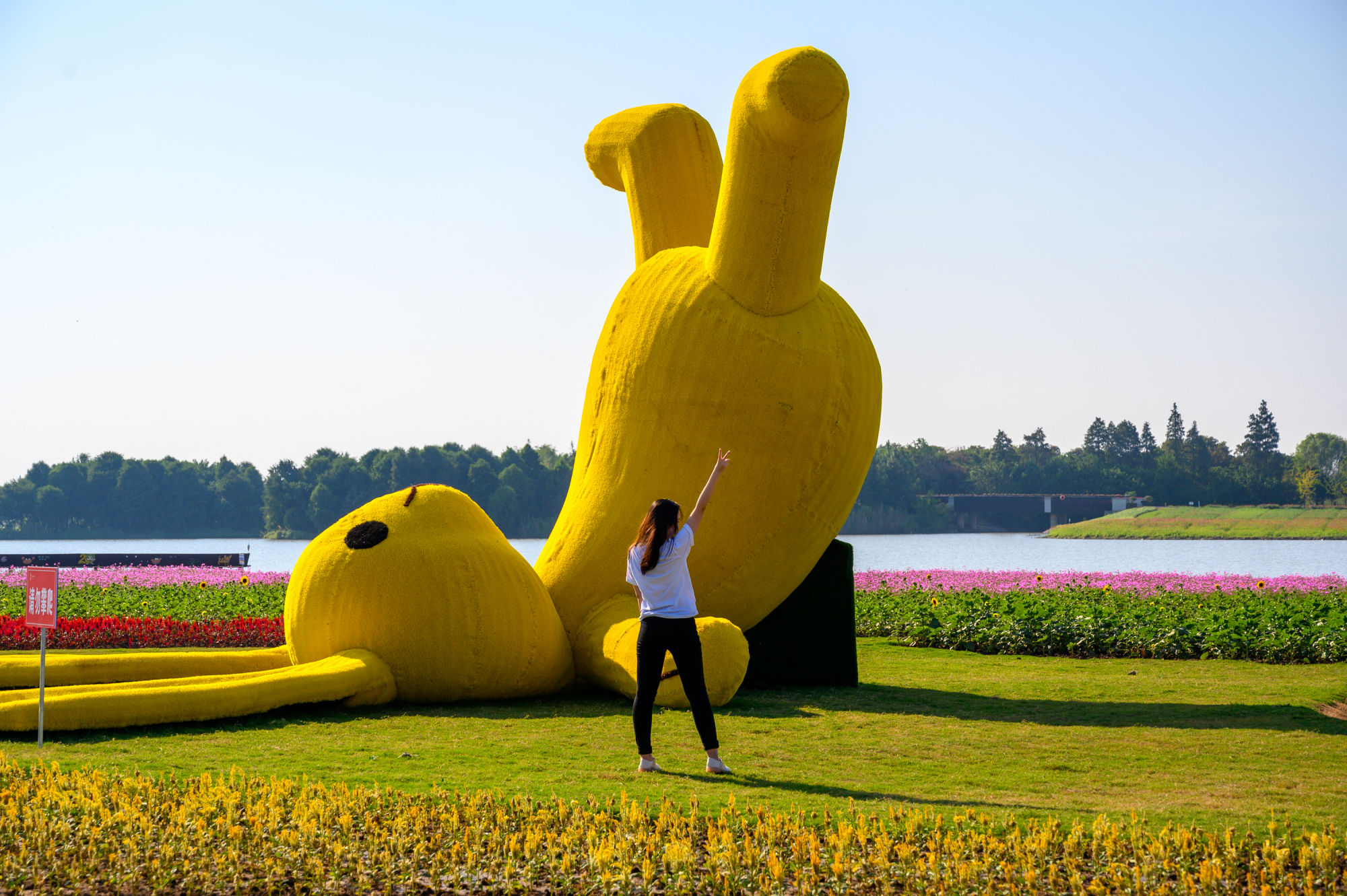 固城湖最佳吃蟹时间,秋风起蟹脚痒你懂得怎么吃螃蟹吗