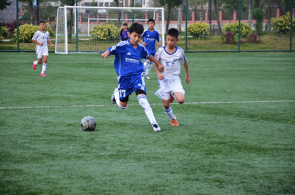 未来5年富力青训,富力青训成果