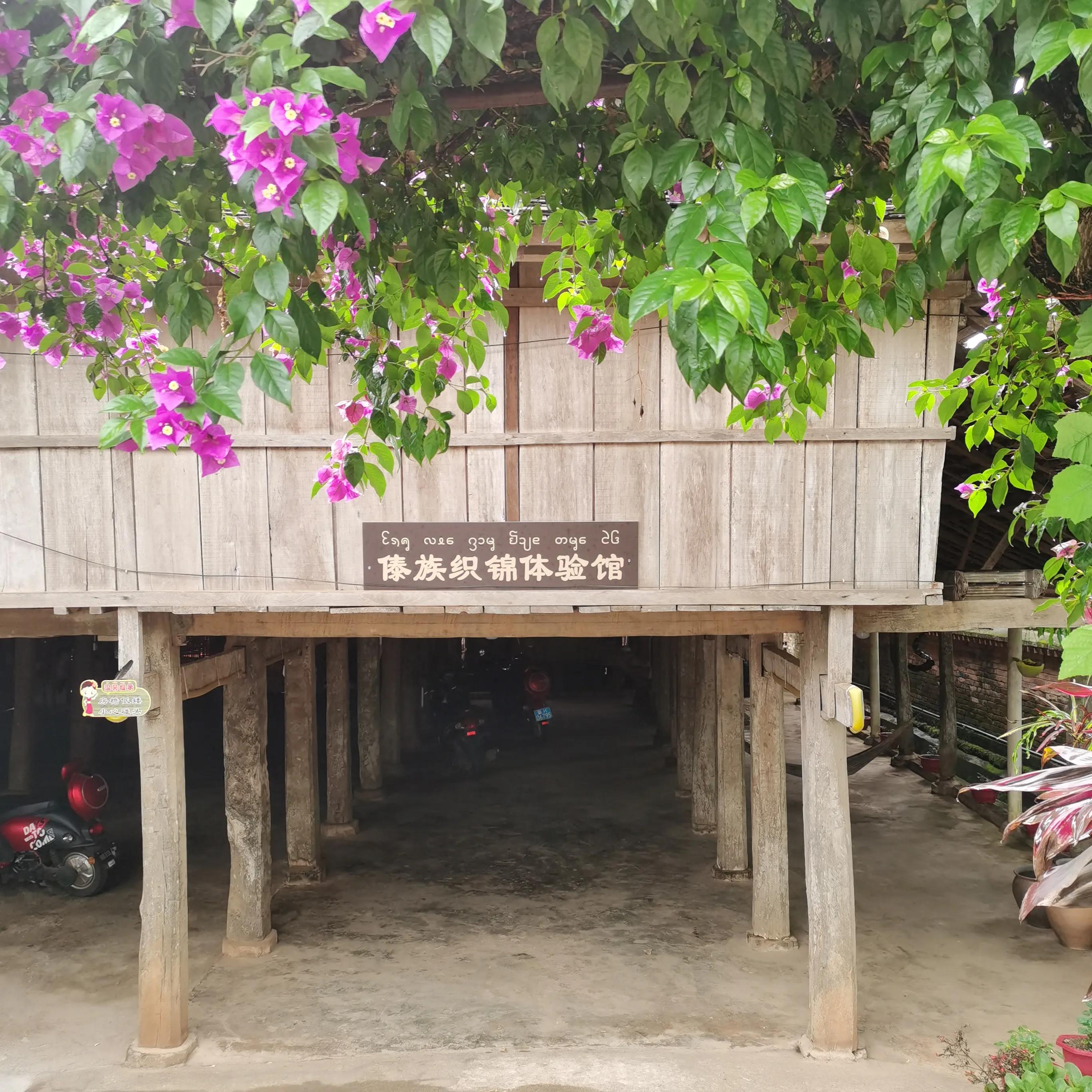 西双版纳曼远村游,西双版纳自由行一天攻略傣族园