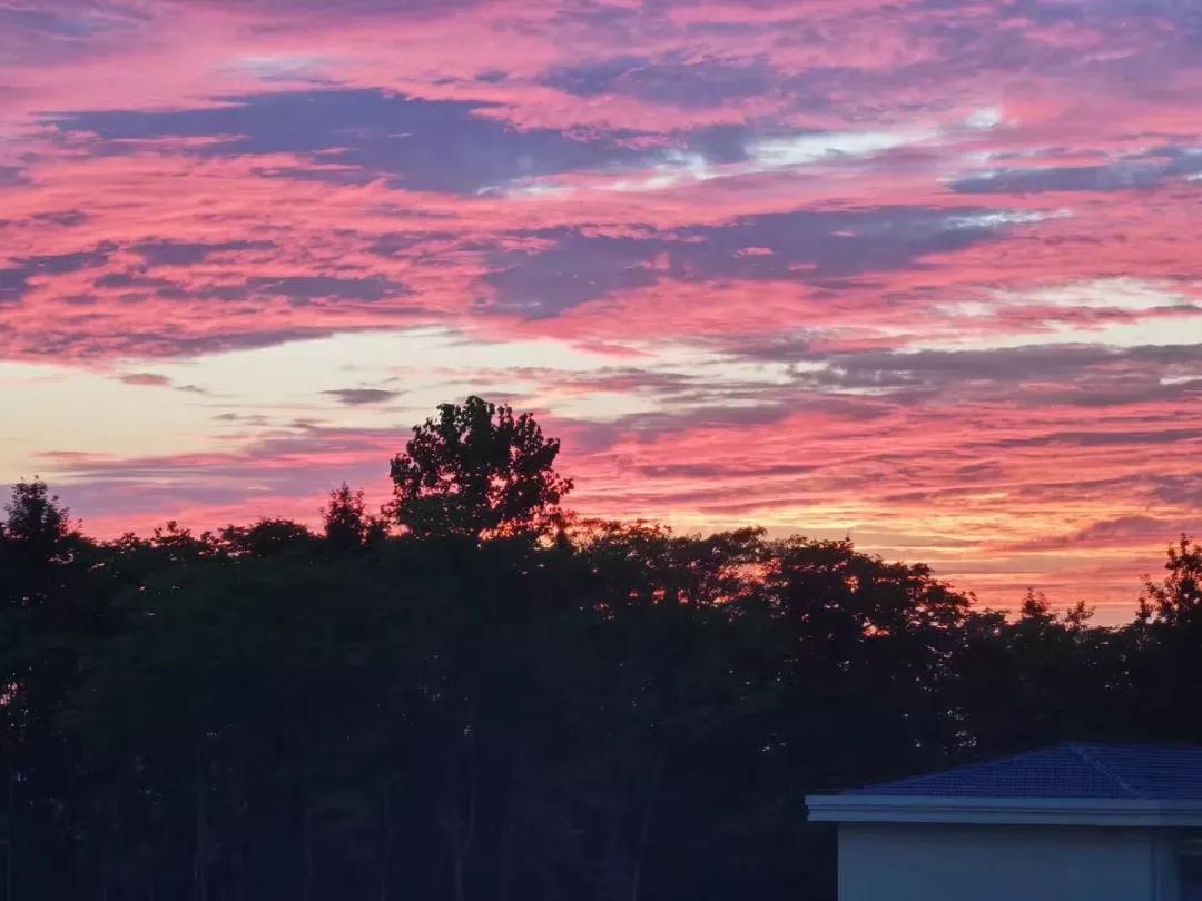 安徽省合肥师范学院2024招生简章,安徽省合肥师范学院今年投档线