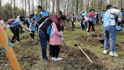 武汉植树高峰期,植树浪潮