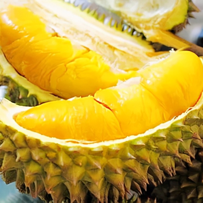 夏季儿童吃什么水果最好最有营养,孩子咳嗽吃什么水果最好