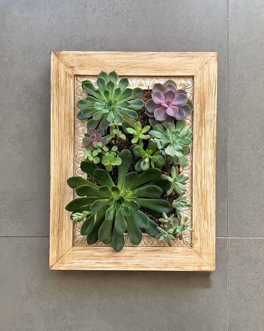 家居收纳日本主妇收纳秘笈大公开,日本主妇如何收纳冰箱蔬菜