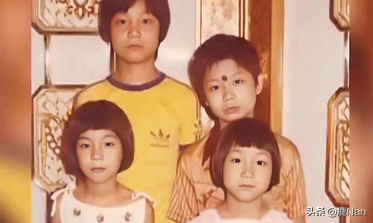 洪欣的个人简介,洪欣以前的情感史