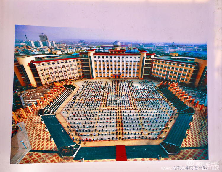 看洛阳牡丹花卉节,洛阳古都牡丹花展