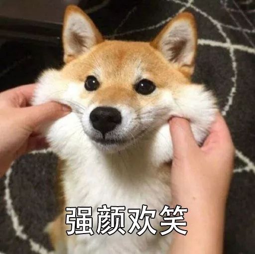 兰芝气垫妆,兰芝气垫底妆