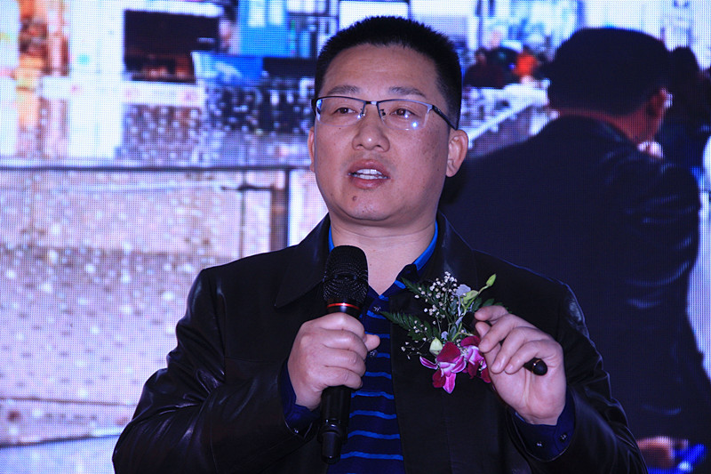 炁能康负离子调养仪的外形,炁能康调养仪v540价格