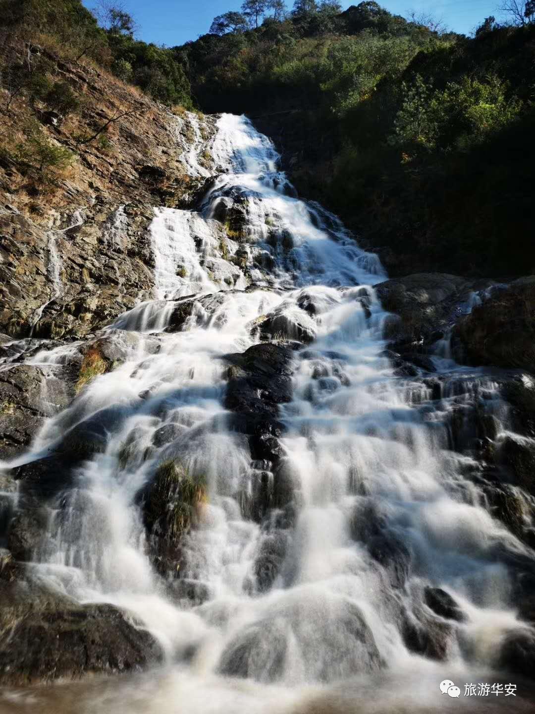 春风十里不如你,我在华安等着您